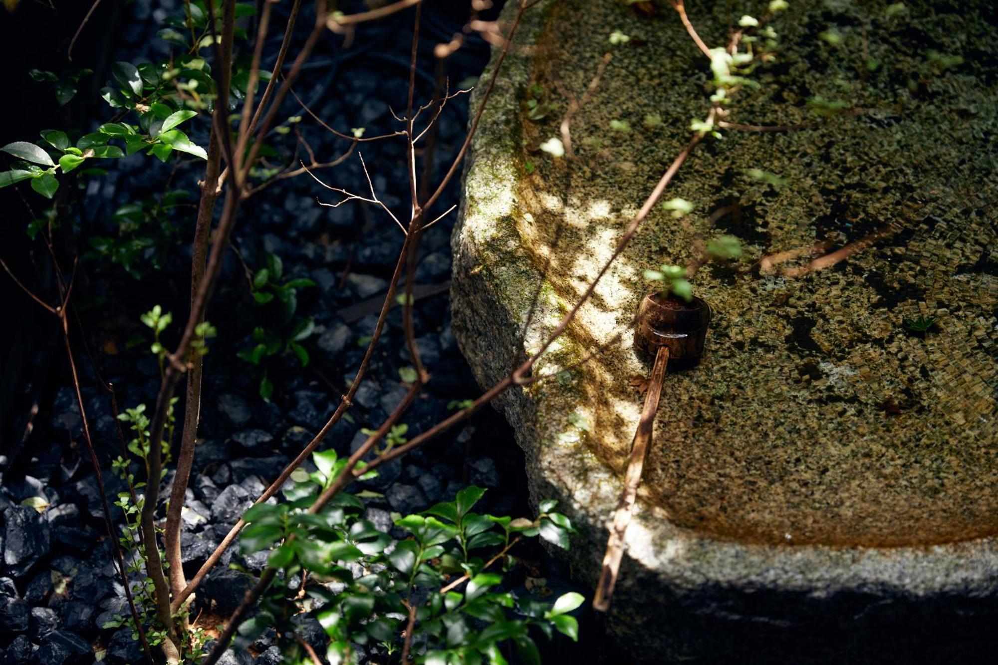 Yadoru Kyoto Hanare Mizunoe No Yado Exteriér fotografie